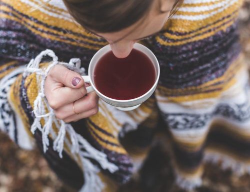 Rooibos : le thé rouge d’Afrique du Sud qui n’en est pas un !